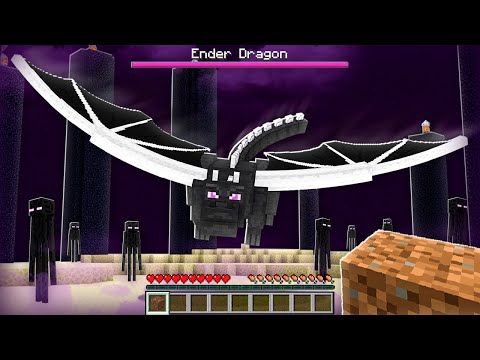 BEATING THE ENDERDRAGON WITH A DIRT BLOCK 