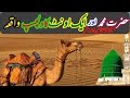 Hazrat Muhammad saw aur Oonth ka waqiya |  Hazrat Muhammad saw ki zindge | Islamic video
