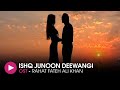 Ishq Junoon Dewangi | OST by Rahat Fateh Ali Khan | HUM Music