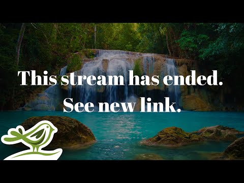 Download Beautiful Piano Music 247: Study Music, Relaxing Music, Sleep Music, Meditation Music free