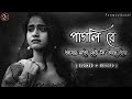 Pagli Re_Lofi version 🖤🥀( Slowed + Reverd ) || পাগলি রে আমার মতো কেউ কি আছে তোর || Bengali Full Song