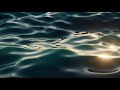 [4K FULL HD] Relaxing Water Background | 1 HOUR | Calm Water Wallpaper (No Sound)