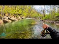 3 Days of INCREDIBLE FLY FISHING! (BIG Brown, brook, and Rainbow Trout!)