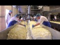 Cheese Making Process