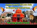 Jungli Janwar Videos HD WapMight