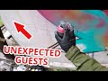 Abandoned Building RAW GRAFFITI - Unexpected Guests