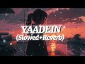 Yaadein ||Slowed+Reverb||by Nihal Tauro Pranshu Jha Vishrut Sinha||KING LAYRICS