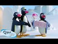 Pingu and Friends 🐧 | Pingu - Official Channel | Cartoons For Kids