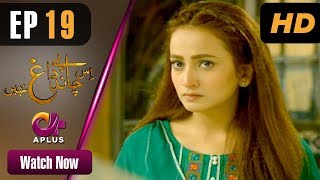 Drama Is Chand Pe Dagh Nahin - Episode 19 Aplus ᴴᴰ Dramas Zarnish Khan, Firdous Jamal Drama Is Chand Pe Dagh Nahin - Episode 19 Aplus ᴴᴰ Dramas Zarnish Khan, Firdous Jamal