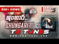 Shungari 8D song with lyrics| TB TUNES
