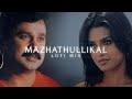 Mazhathullikal × Kal ho na ho ~ aesthetic lofi mix - vettam -Malayalam lofi | mashup @prazzmu6