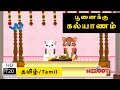 Poonaikku Poonaikku Kalyanam (Cat Marriage Song) | பூனைக்கு கல்யாணம் | Tamil Rhymes  |