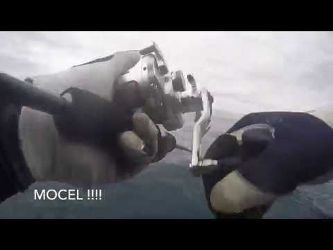 Download Slow Jigging and Popping Tamban #2 free