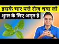 Diabetes Control Tips: Lower Your Blood Sugar In 90 Days With This Amazing Ayurvedic Herb