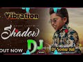 Shadow - Gagan Likhari_ Dj Remix ☠️Song (Official Audio) || Hard Bass Dj 💤_ Latest Punjabi Song 2024
