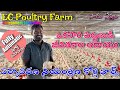 EC Poultry Farm | పర్యావరణ నియంత్రణ బ్రాయిలర్ కోళ్ల పౌల్ట్రీ ఫారం | Fully Automatic Poultry Farm |