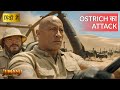 JUMANJI: THE NEXT LEVEL | Ostrich ने किया हमला | Hollywood Movie Scenes | Movie Clips