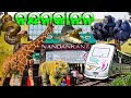 Nandankanan Zoological Park - 3rd Largest Zoo of India | Bhubaneswar | 2023 |
