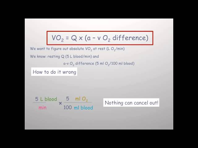 The Fick Equation Jennarocca The Fick Equation Vo2 Jennarocca Calculator