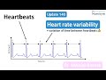 Enhancing Vagus Nerve Fitness - A Guide to Understanding Heart Rate Variability