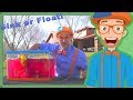 Sink or Float with Blippi | Fun Science Videos for Kids