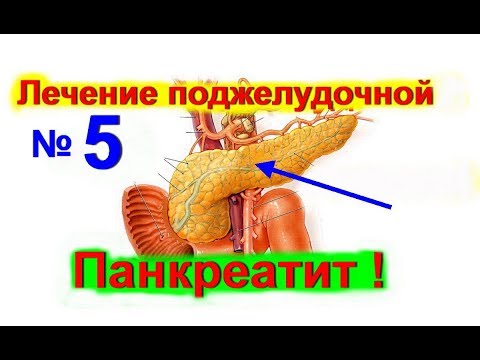 Народные средство как лечить поджелудочную железу Народные средство как лечить поджелудочную железу