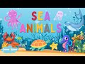 Sea Animals | Learn sea animals names in English | Kids vocabulary | English Educational Video