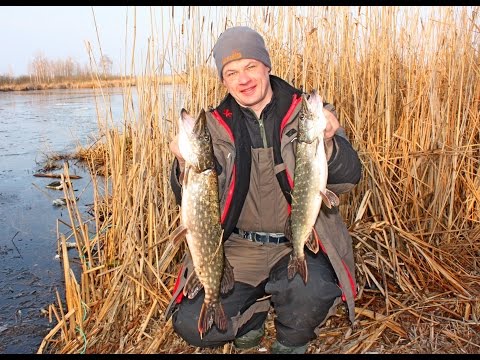 клев на днепре клев на днепре
