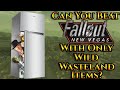 Can You Beat Fallout: New Vegas With Only Wild Wasteland Items?