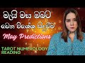 මැයි මස ඔබේ ජීවන අංකයෙන් May Predictions Tarot Numerology Sinhala