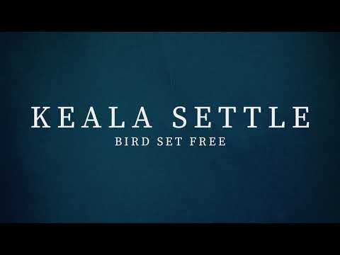 Download Keala Settle - Bird Set Free (Sia Cover) free