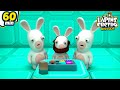 Les Lapins Passent un Test ! - Compilation 1H | Les Lapins Crétins Invasion🐰 | Nouveaux épisodes HD