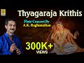 Thyagaraja Krithis | Classical Instrumental | Flute concert by A.K.Raghunathan