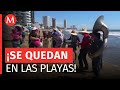 ¡La banda sigue! Alcalde de Mazatlán respalda a músicos y critica a empresarios