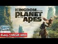 Kingdom of the Planet of the Apes | Official Trailer with Sinhala Subtitle