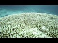 Download Desert Seas mp4 3gp mp3 videos - waplic