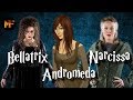 Black Sister Origins Explained (Bellatrix Lestrange, Narcissa Malfoy & Andromeda Tonks)