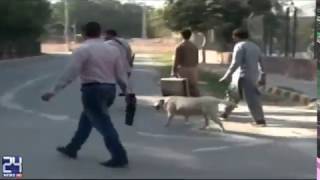Pakistan Super League final in Lahore