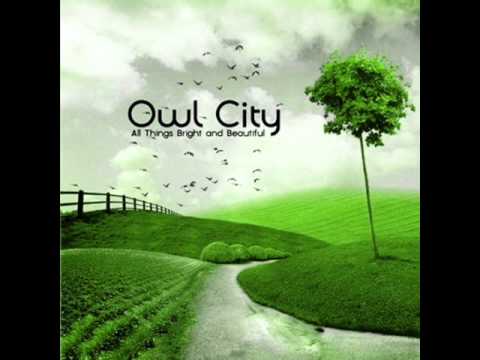 Owl City Alligator Sky