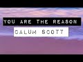 CALUM SCOTT - YOU ARE THE REASON (LYRICS)