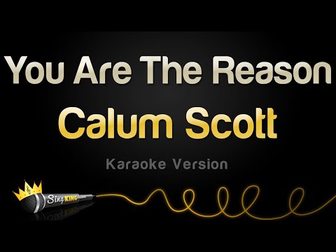 Download Calum Scott - You Are The Reason (Karaoke Version) free