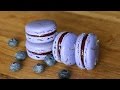 Download Blueberry Lemon French Macarons | sweetco0kiepie mp4 3gp mp3 videos - waplic