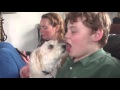 We Salute Dogs Licking People's Mouths