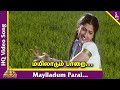 Mayiladum Parai Video Song | Manu Needhi Tamil Movie Songs | Murali | Prathyusha | Deva