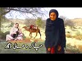 Chakar Sahaq and Aali Dagaar |History of Baluchistan | Abdul Hakim Mulla Zahi Lashari