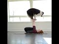 Dog doing yoga wid owner - funny dog - yoga dog