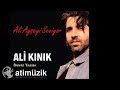 Ali Kınık - Ali Ayşeyi Seviyor (Duvar Yazısı) Orjinal Versiyon [ © Official Audio ]