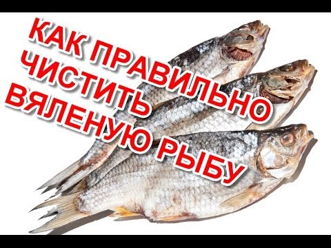 Как правильно в домашних условиях завялить рыбу