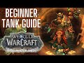 Beginner's Guide to Monk Tank | World of Warcraft Dragonflight