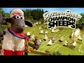 Full Episodes Compilation 🏆 Championsheeps 🐑 Shaun the Sheep #sport #ShaunTheSheep